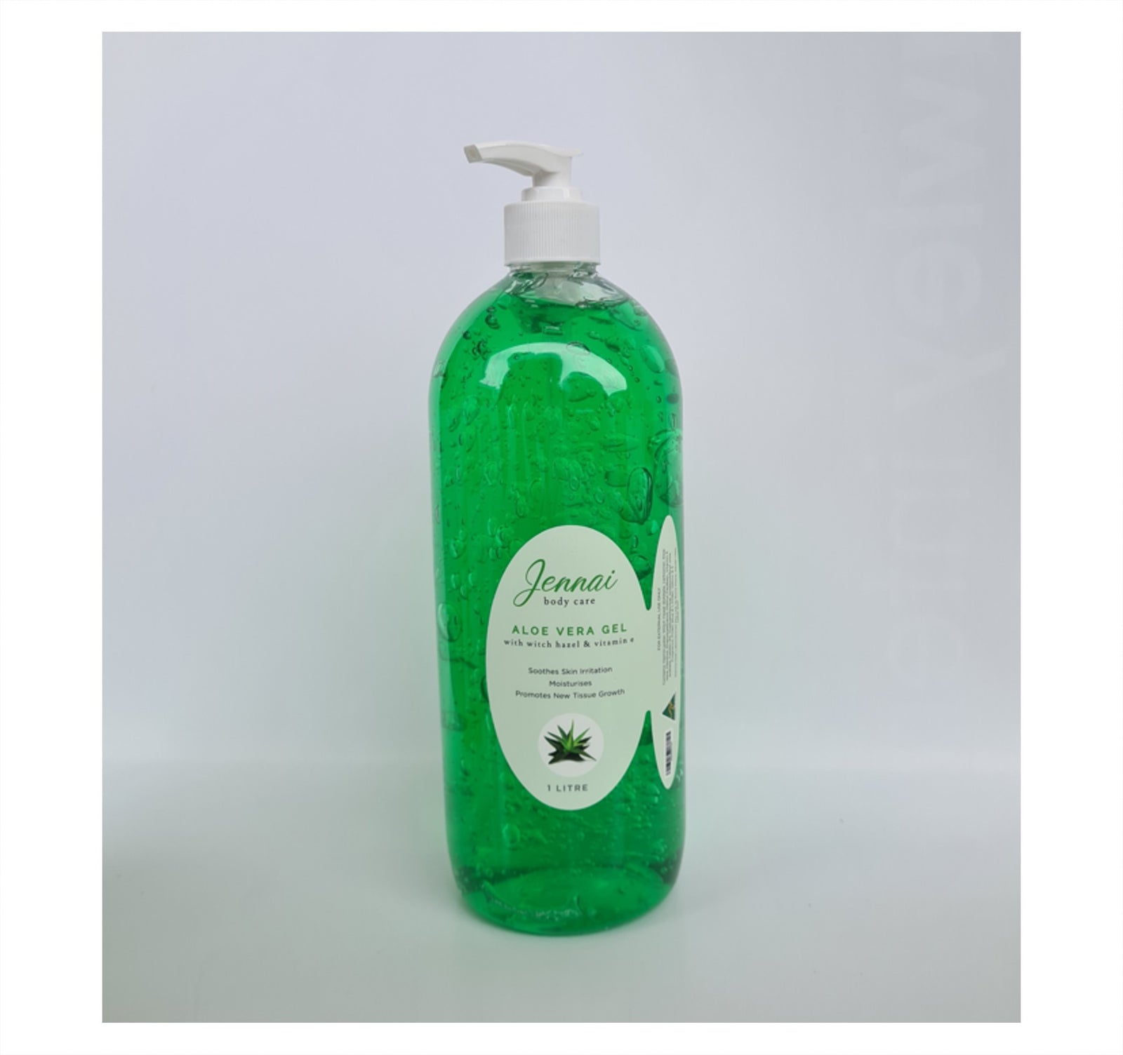 aloe vera luftfeuchtigkeit Aloe vera | Sukkulente